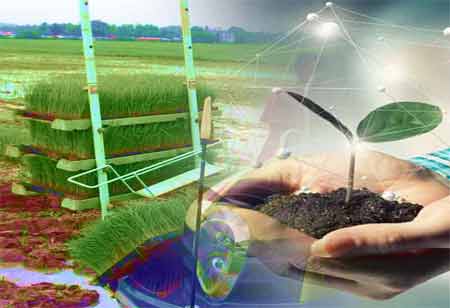 Exploring Educational Tourism for Personal Growth and Global Understanding